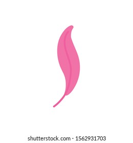 feather imagination mystery magic flat icon vector illustration