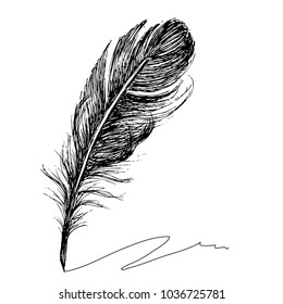 Feather Ink Stock Vector (Royalty Free) 1036725781 | Shutterstock