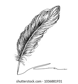 Feather with ink.