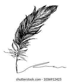 Feather with ink.