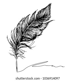 Feather with ink.