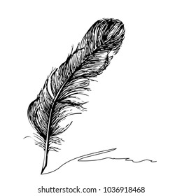 Feather with ink.