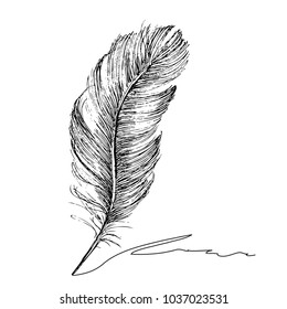 Feather with ink.