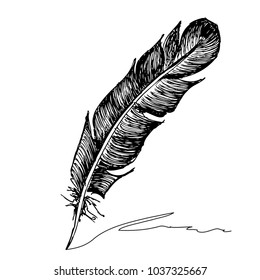 Feather with ink.
