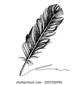 Feather With Ink.