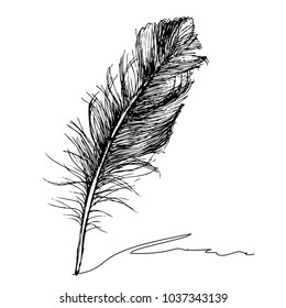 Feather with ink.