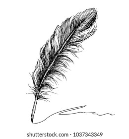 Feather with ink.