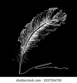 Feather with ink.