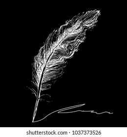 Feather with ink.