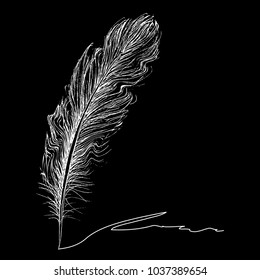 Feather with ink.