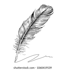 2,915 Feather pen engraving Images, Stock Photos & Vectors | Shutterstock