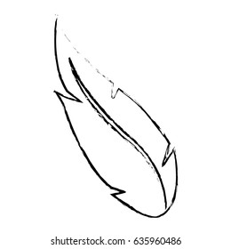 feather ink pen quill writing design