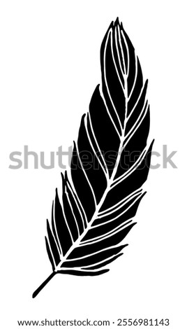 feather isolated black vector drawing silhouette hand drawing sketch bird single feather outline	
