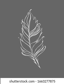 Feather isolated on gray background. Vector illustration. White Lined drawing. 