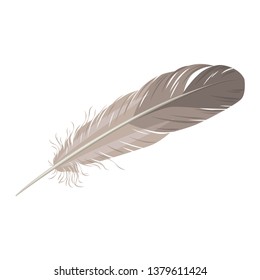 Feather isolated on white background