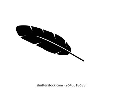feather isolated on white background and vector illustrations design 