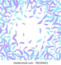 Feather isolated on white pattern vector frame.  Sophisticated elegant border background. Editable background with flying feather elements and place for text. Blue frame vector design, card template.