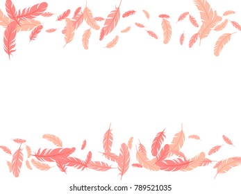 Feather isolated on white pattern vector frame.  Beautiful elegant border background. Editable background with flying feather elements and place for text. Frame vector design, card template.