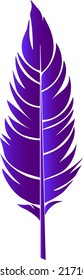 feather isolated vector drawing silhouette hand drawing sketch bird single feather outline