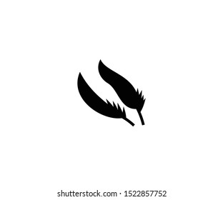Feather isolated vector icon. Feather vector illustration