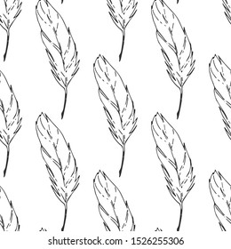 Feather isolated vector seamless pattern. Falling natural feather.