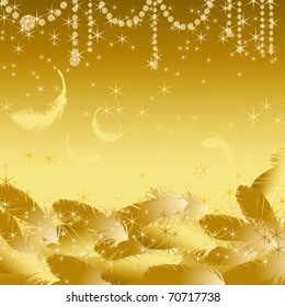 feather and jewelry background
