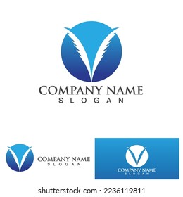 feather law logo template vector
