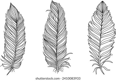 Feather line art vector illustration set, bird feather drawing, minimalist feather design, simple line art, ornamental feather design, bird plume