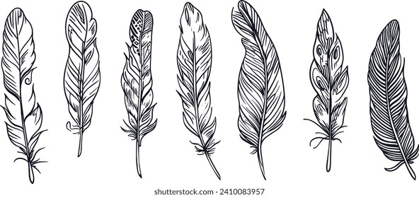 Feather line art vector illustration set, bird feather drawing, minimalist feather design, simple line art, ornamental feather design, bird plume