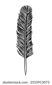 feather line  with black color clip art