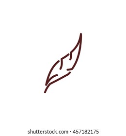 feather line icon