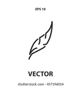 feather line icon