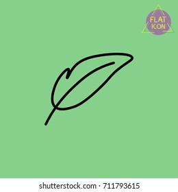 feather line icon