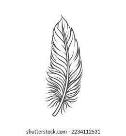 Feather line icon vector illustration. Hand drawn outline silhouette of plume and pen with light weight, lightweight soft feather of pillow, fluff from wings, easy plumelet for bird and angel flight