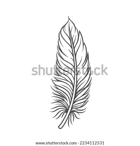 Feather line icon vector illustration. Hand drawn outline silhouette of plume and pen with light weight, lightweight soft feather of pillow, fluff from wings, easy plumelet for bird and angel flight