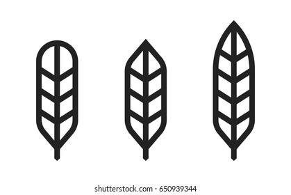 Feather Line Icons. Vector