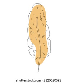 Feather in line style isolated on white background