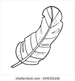 Feather Linear drawing. ​Simple shapes, minimalism. Natural elements for design. Hand drawn vector print.