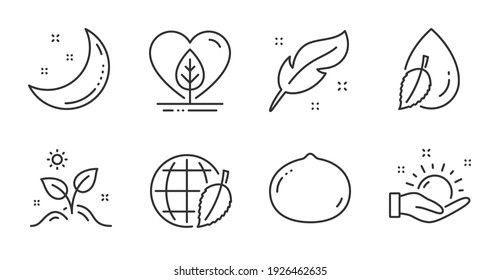 Iconos de la línea meteorológica de plumas, locales y soleados. Nuez de Macadamia, caída de agua y signos del Día del Medio Ambiente. Crecer planta, Símbolos de estrellas de la luna. Bolígrafo de nib, prueba orgánica, toma el sol. La naturaleza. Vector