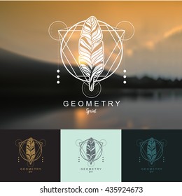 diseño del logotipo de plumas con fondo geométrico.logo de la ley Ilustración vectorial
