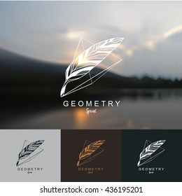 feather logo design with geometric background. law logo.Vector illustration
