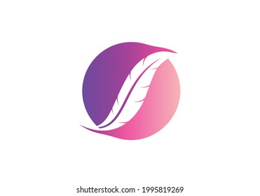Feather Logo design Vector Template illustration