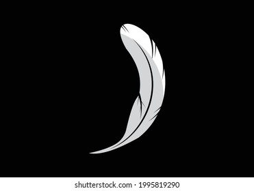 Feather Logo design Vector Template illustration