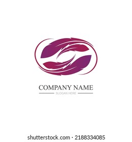 Feather logo images illustration design template