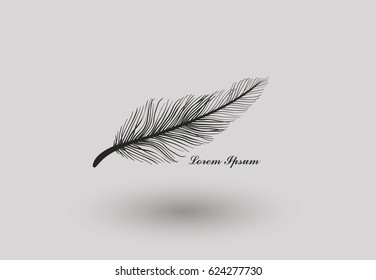 feather logo. simple and luxury logo