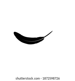feather logo stock illustration design