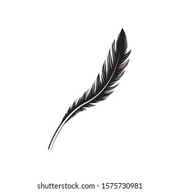 feather logo stock illustrator design