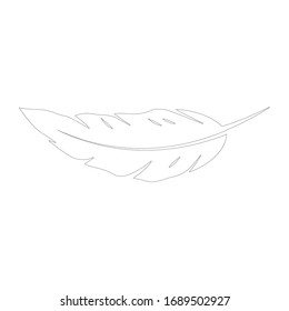 feather logo stock vector template 