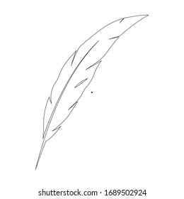 Feder-Logo-Vorlage für Vektorgrafik