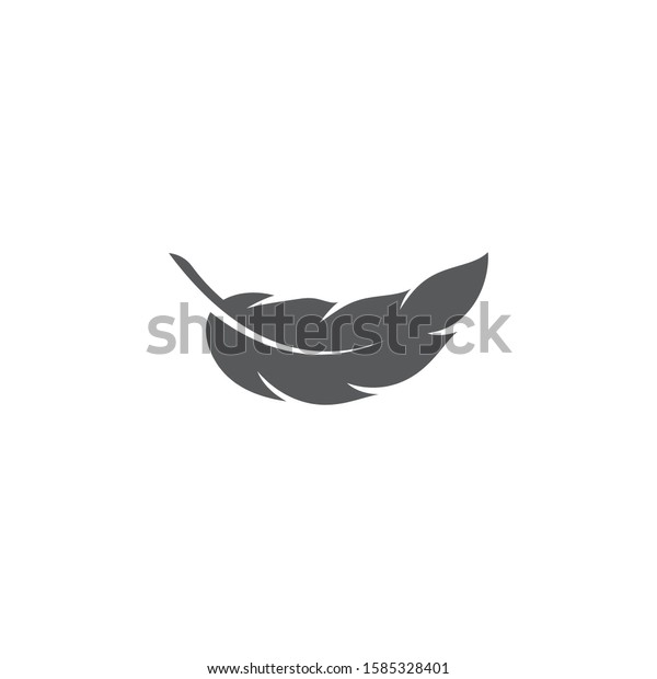 feather logo template\
vector icon design